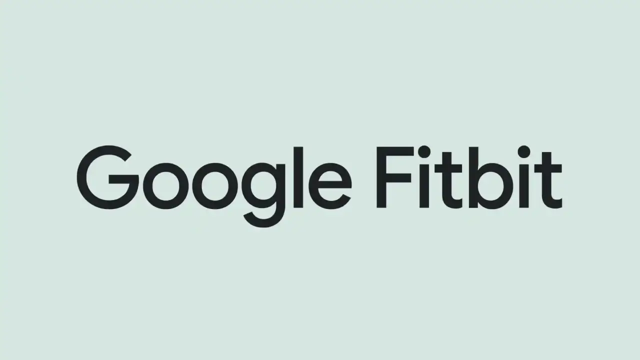 Google Fitbit Logo